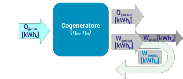 P2050 Art. DS normativa Fig. 1 cogeneratore